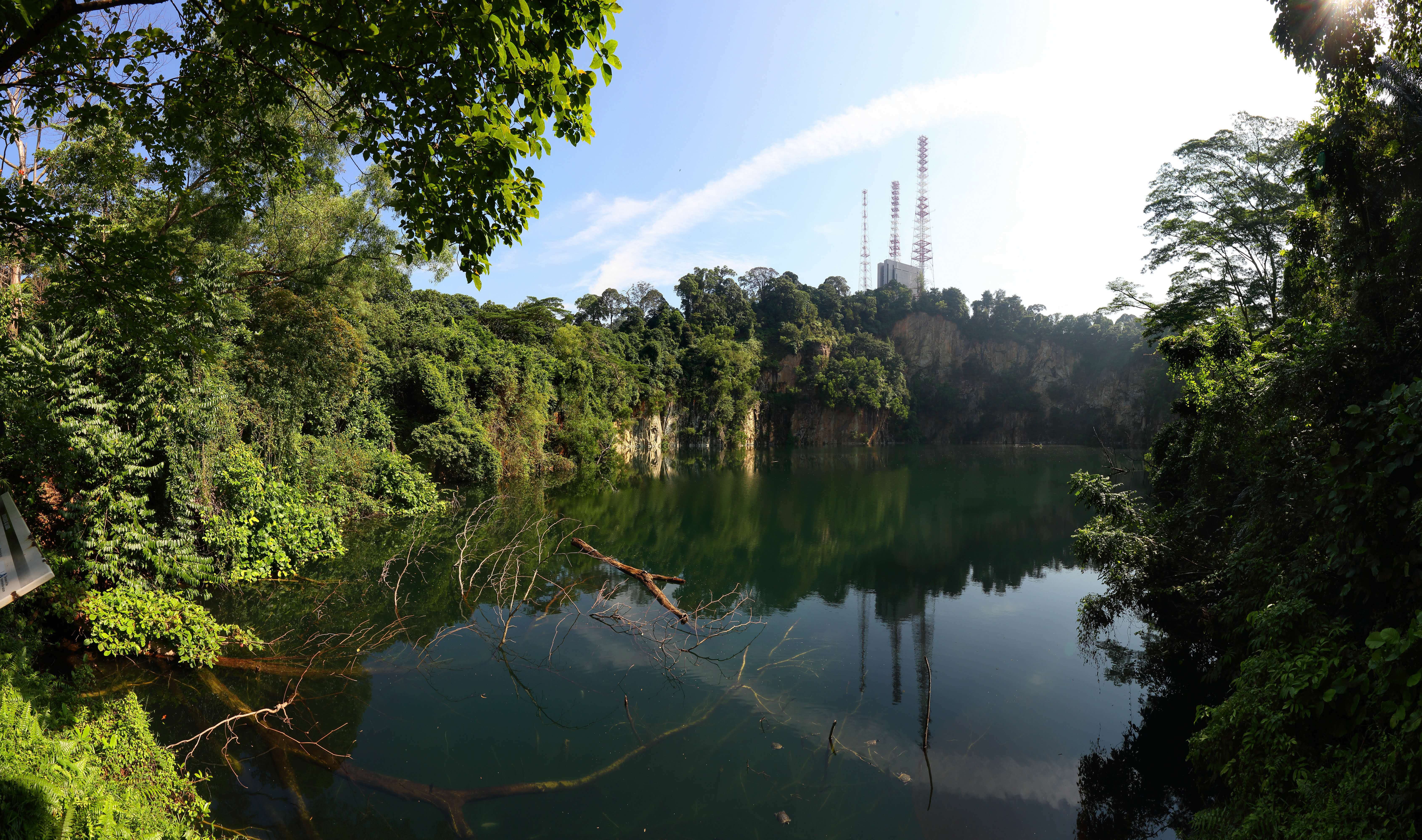 Bukit Timah Nature Reserve